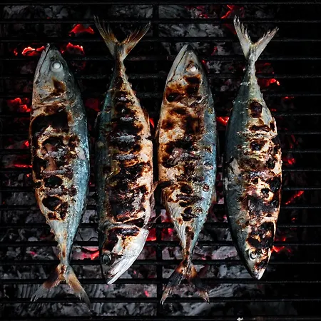 Roi Boutique Gæstehus Asos