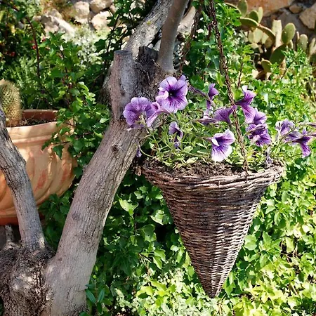 게스트하우스 Roi Boutique 아소스