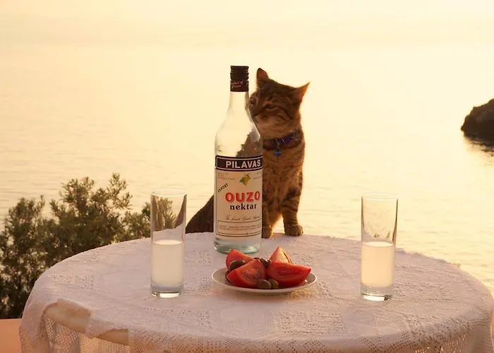 게스트하우스 Roi Boutique 아소스