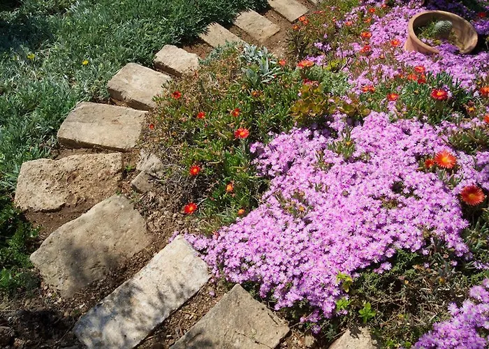 Roi Boutique 4* 아소스